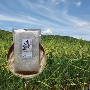 【自然栽培の米】お手頃サイズ 福岡県産