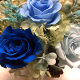 お昼寝くろさん