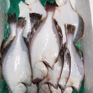 2019イチマン❗本日水揚げ2‼️船上活〆カレイセット