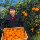 山根圭一 | ﾌﾙｩﾂ彩園 あまくさどろっぷす