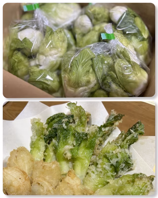 みんなの投稿の画像