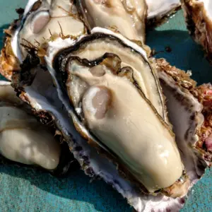 旨味たっぷり、気仙沼大島ヤマヨ水産の牡蠣！