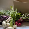 ekamおまかせ野菜セット