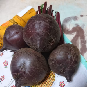 【化成肥料・農薬不使用】赤いビーツ