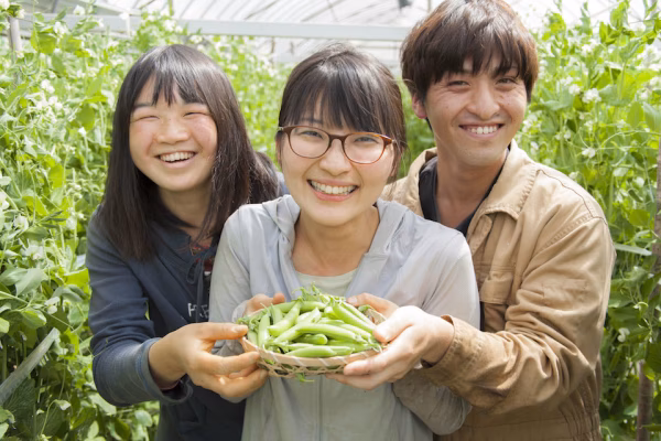 株式会社はるひ畑