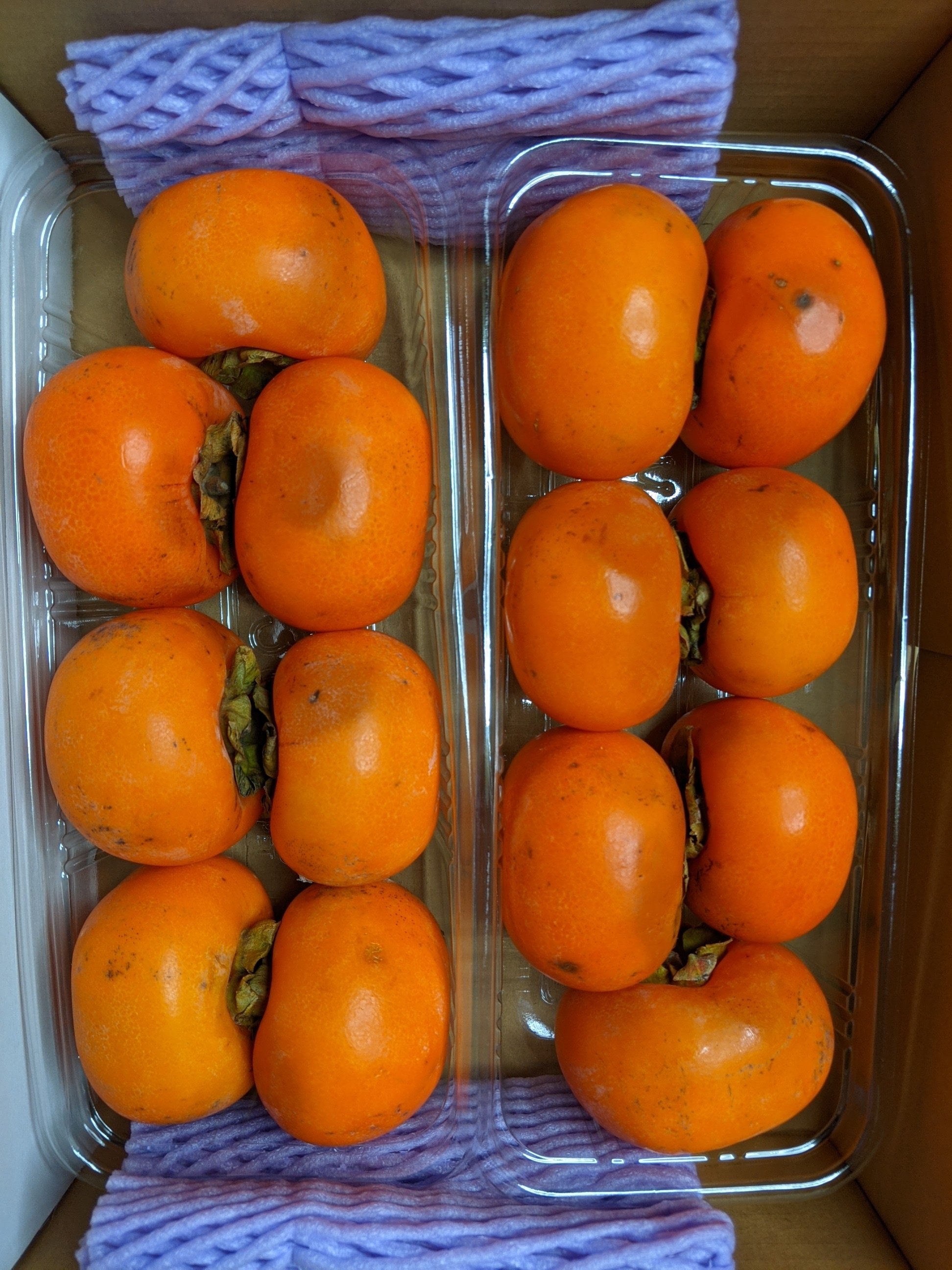 市田柿 干し柿 4.6kg - 果物