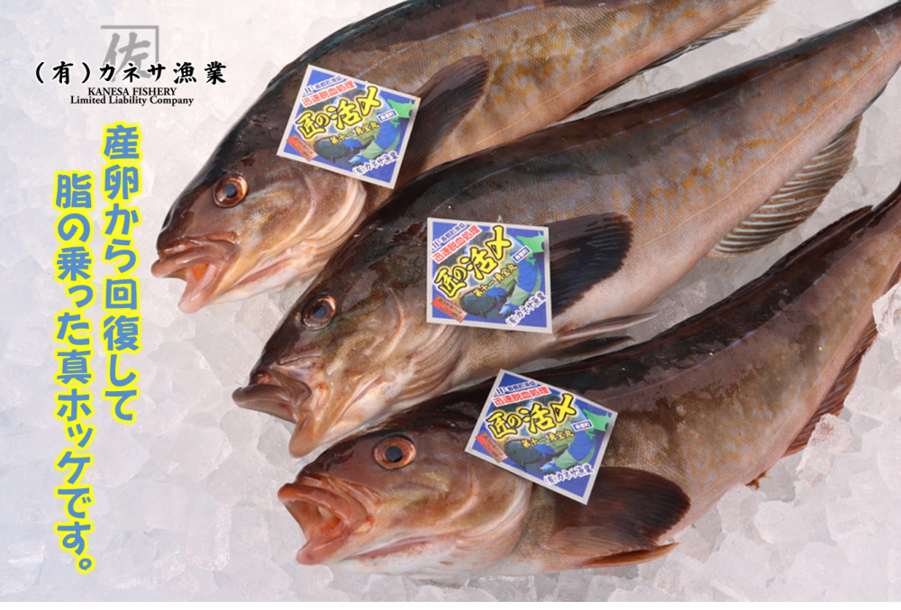活〆真ホッケフィーレ 1枚約100ｇ 北海道寿都産 農家漁師から産地直送の通販 ポケットマルシェ