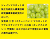 岡山県産　シャインマスカット　（種なし）　 3房から4房 約2キロS2