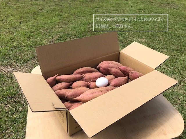 種子島産 オーガニック（有機）安納芋 MIXサイズ10kg