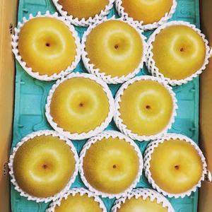 《訳あり》限定！甘い幸水梨　5キロ前後　『味は一級品』