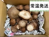 《訳あり》信州富士見高原産！生しいたけ