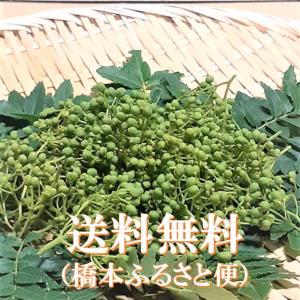 印度カリー子さんのレシピ付き！香りよくピリリと辛い青山椒(生・枝付き）谷奥深産