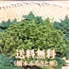 印度カリー子さんのレシピ付き！香りよくピリリと辛い青山椒(生・枝付き）谷奥深産