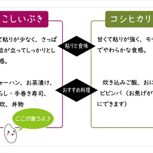 令和７年産内山農園のこしいぶき（特別栽培米）