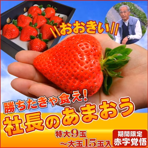 【特大】あまおう9〜15玉入×2箱 苺(いちご)イチゴの王様アマオウ