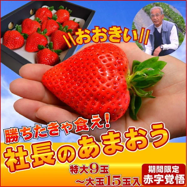 【特大】あまおう9〜15玉入×2箱 苺(いちご)イチゴの王様アマオウ