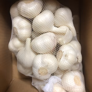 【今だけしか味わえない】青森県産 生にんにく Sサイズ
