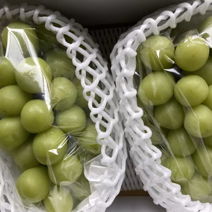 大房シャインマスカット900g×2房　合計1.8キロ以上　すぐ発送！