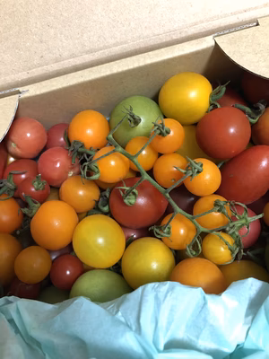 みんなの投稿の画像