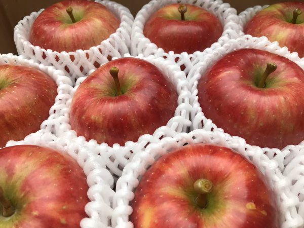 葉とらず　千秋