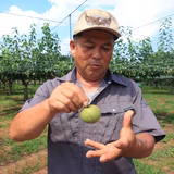 平間昭男 | 蔵王 青麻農樹園