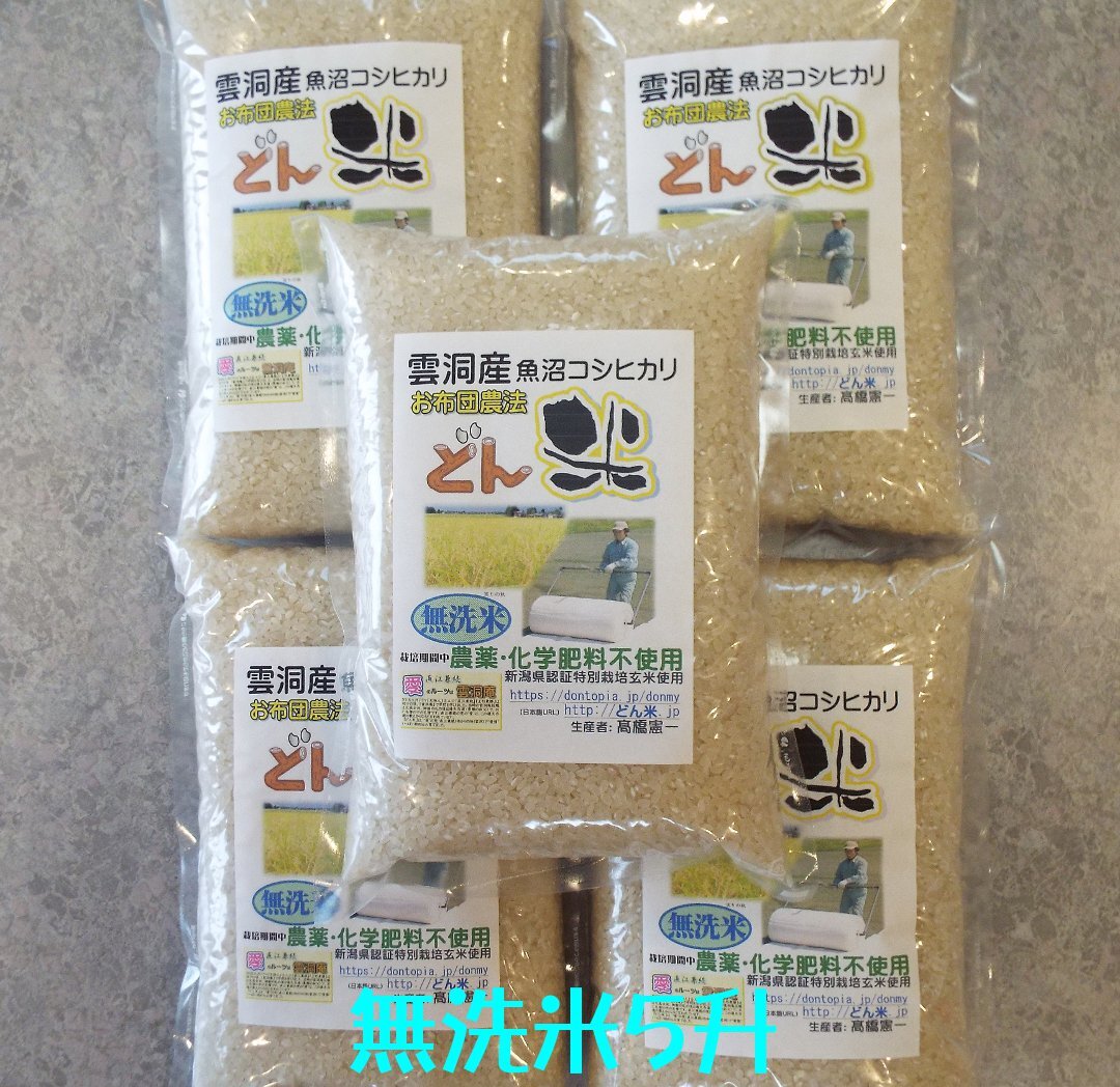 新潟県産 従来コシヒカリ 令和５年産 白米 (３㎏) 80サイズ - 米・雑穀