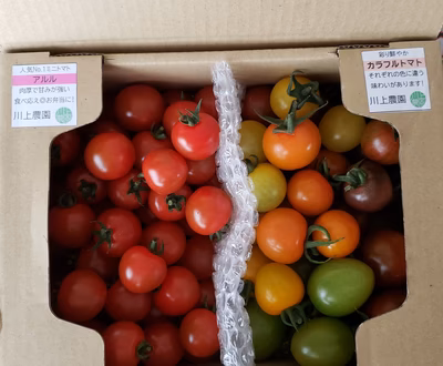 みんなの投稿の画像