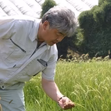 酒井正光 | 屋代郷