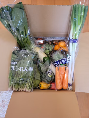 みんなの投稿の画像