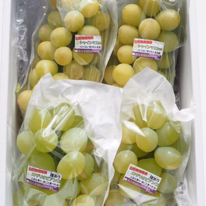 【訳あり】山形県産高級ぶどう☆シャインマスカットとロザリオビアンコの詰合せせ