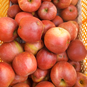 家庭用紅玉(キズ、茶星等)