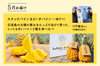 「南国フルーツ定期便」九州・沖縄からお届け