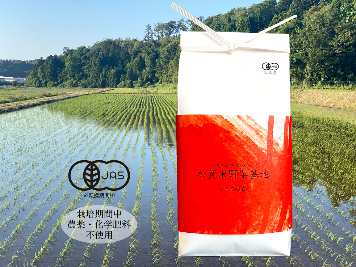 農家直送】いのちの壱☆無農薬栽培☆20㎏☆令和5