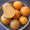 生搾りジュースに！ご家庭向きの清峰オレンジ【農薬不使用】