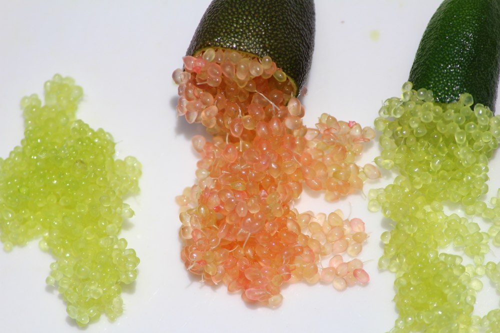 フィンガーライム 50ｇ 約7本入り 農家漁師から産地直送の通販 ポケットマルシェ