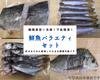 鮮魚バラエティセット
