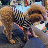 ゴールドマウンテン