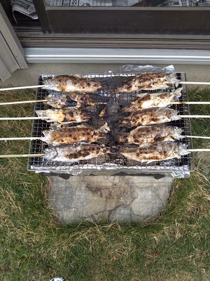 みんなの投稿の画像