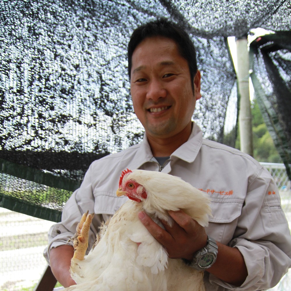 市場 ふるさと納税 鶏刺し8パックセット：鹿児島県南九州市 さつま極鶏大摩桜