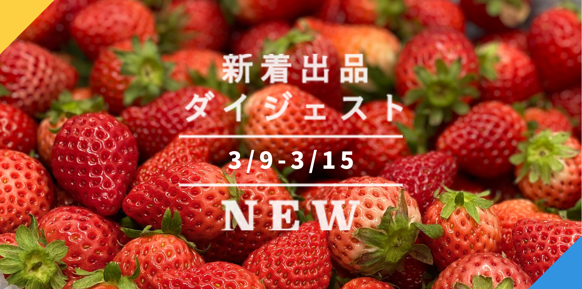 北海道産無農薬無肥料苺けんたろう2kg