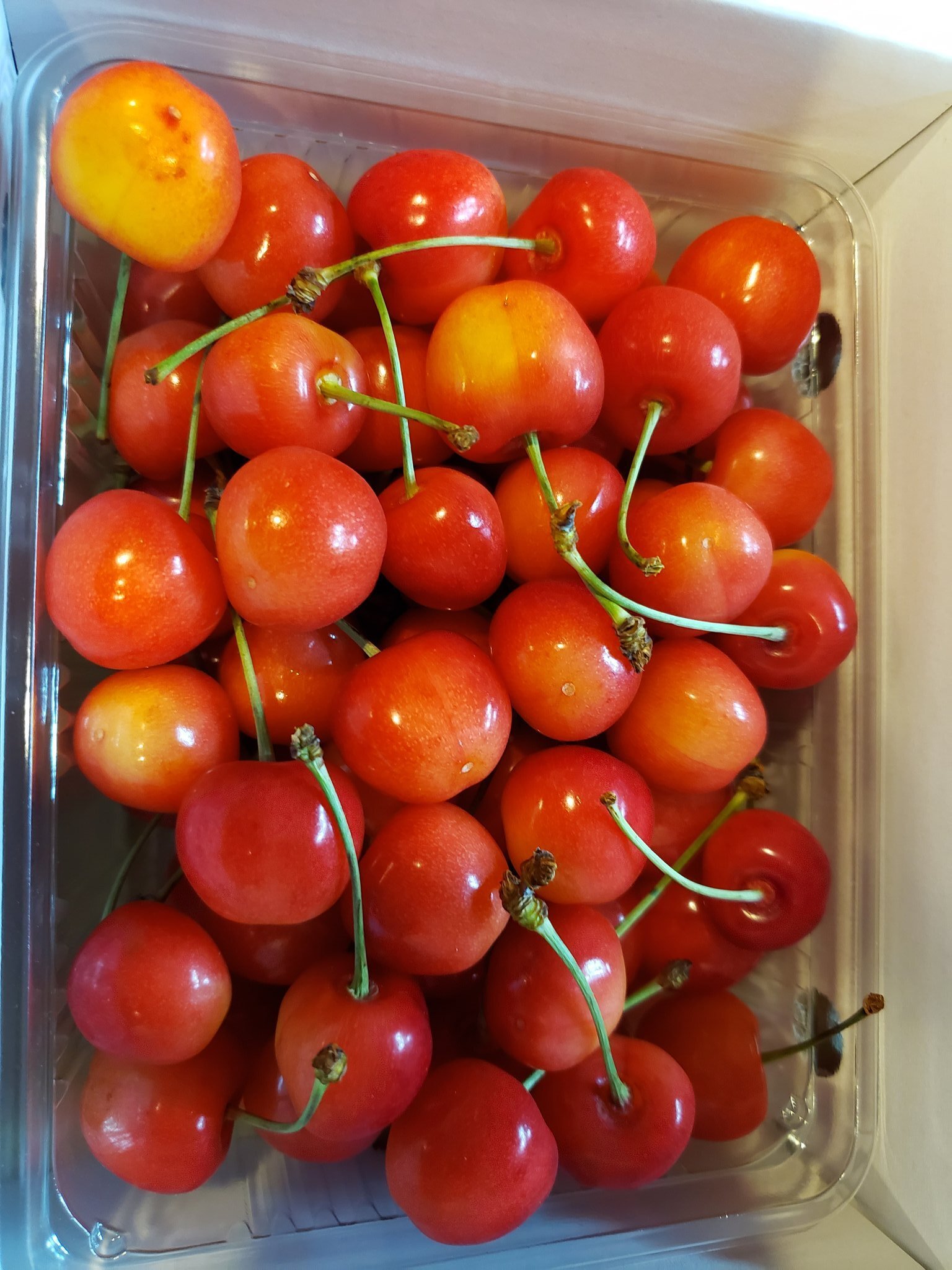 ミニトマトの産直通販・お取り寄せ商品｜ポケットマルシェ｜産地直送で
