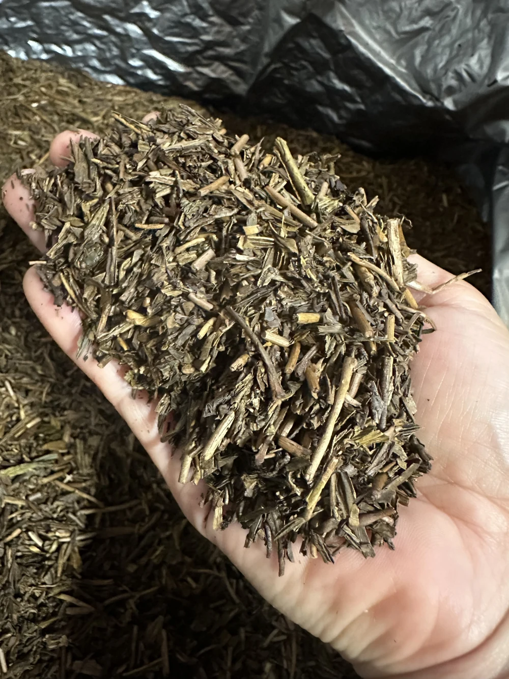 【農家直送】ほうじ茶と本山煎茶