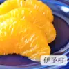 【甘平入り！！】柑橘4種つめあわせ+レモン