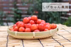 さくらんぼ　紅秀峰 L～2L玉バラ詰め  山梨県南アルプス市産