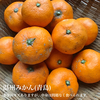 食べ比べる⁉︎ 3種の柑橘セット【農薬不使用】