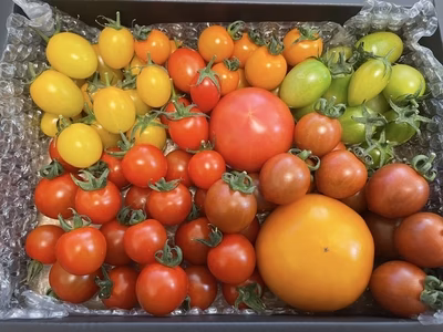 みんなの投稿の画像