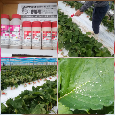 みんなの投稿の画像