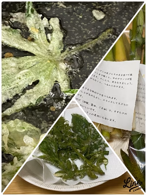 みんなの投稿の画像