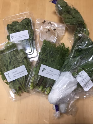 みんなの投稿の画像