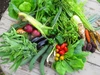 【農薬化学肥料不使用】ビオファームまつきの野菜セット【L】冷蔵便